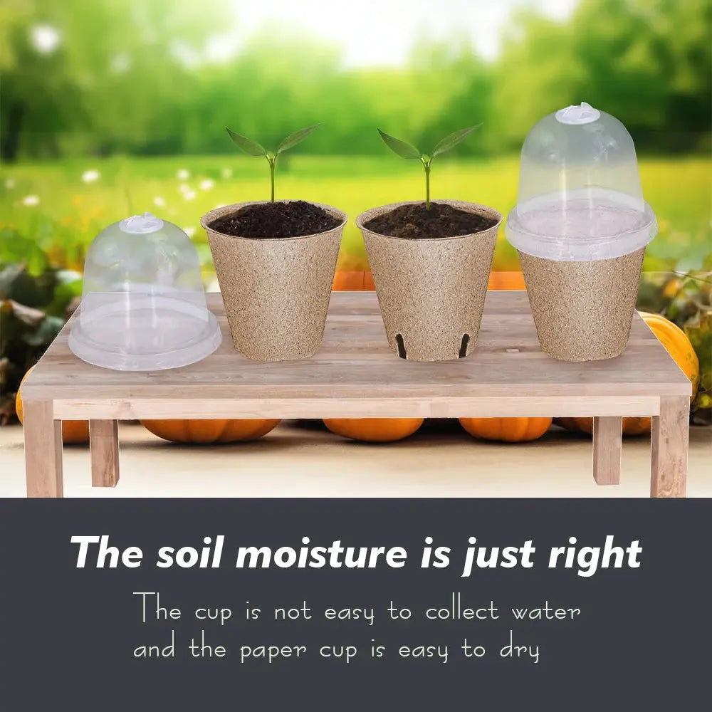 Biodegradable Paper Plant Nursery Cup for Greenhouse Agriculture Garden Seed Germination Starter Herbs Transplant Seedling Pot The Zebra Effect