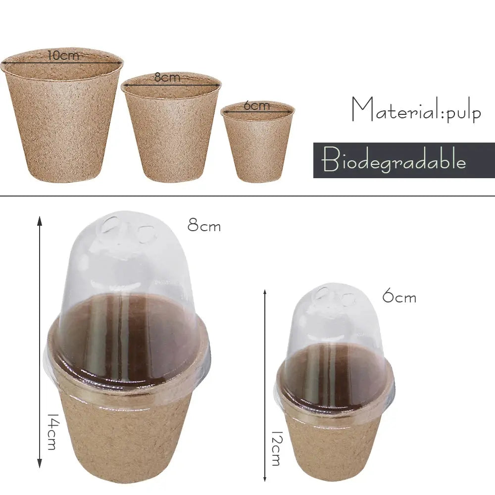 Biodegradable Paper Plant Nursery Cup for Greenhouse Agriculture Garden Seed Germination Starter Herbs Transplant Seedling Pot The Zebra Effect