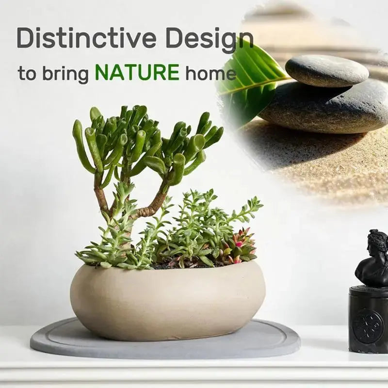 Plant Water Catcher Tray Instant Dry Natural Diatomaceous Earth Plant Saucers For Pot Anti-Slip Plant Drip Trays Multifunctional The Zebra Effect