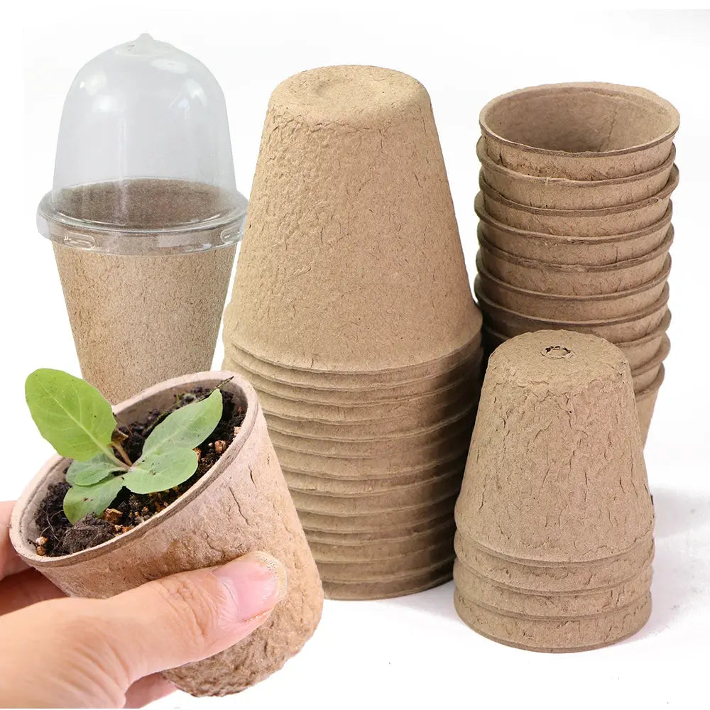 Biodegradable Paper Plant Nursery Cup for Greenhouse Agriculture Garden Seed Germination Starter Herbs Transplant Seedling Pot The Zebra Effect