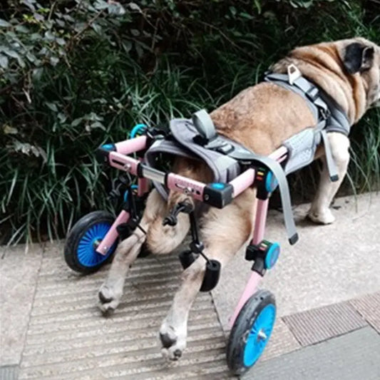 Cat-assisted Teddy Pet Dog Hind Leg Brace The Void