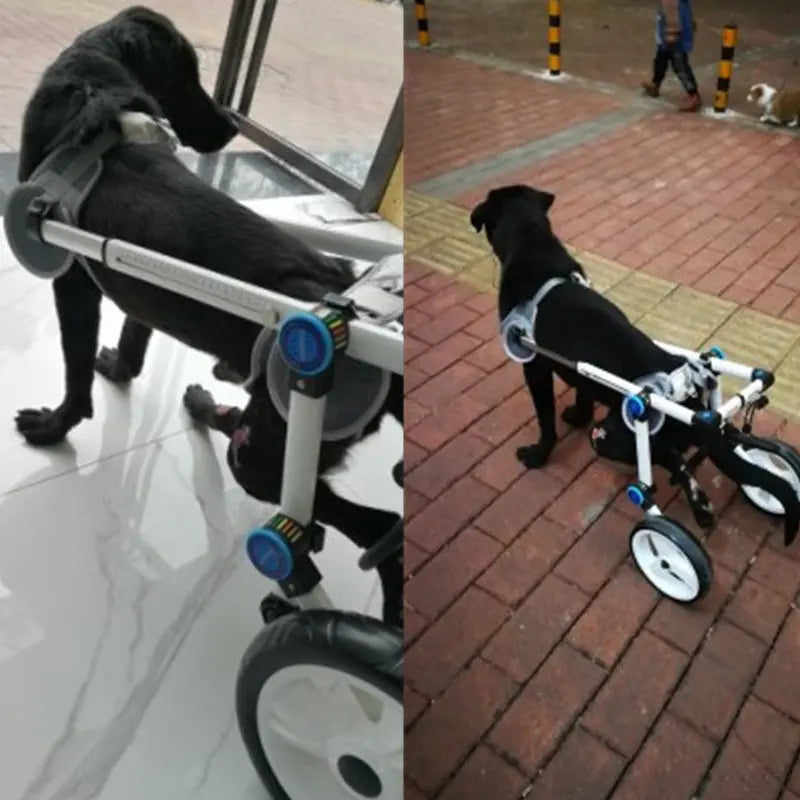 Cat-assisted Teddy Pet Dog Hind Leg Brace The Void